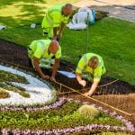 Commercial Landscapers Near Me