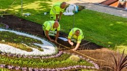 Commercial Landscapers Near Me